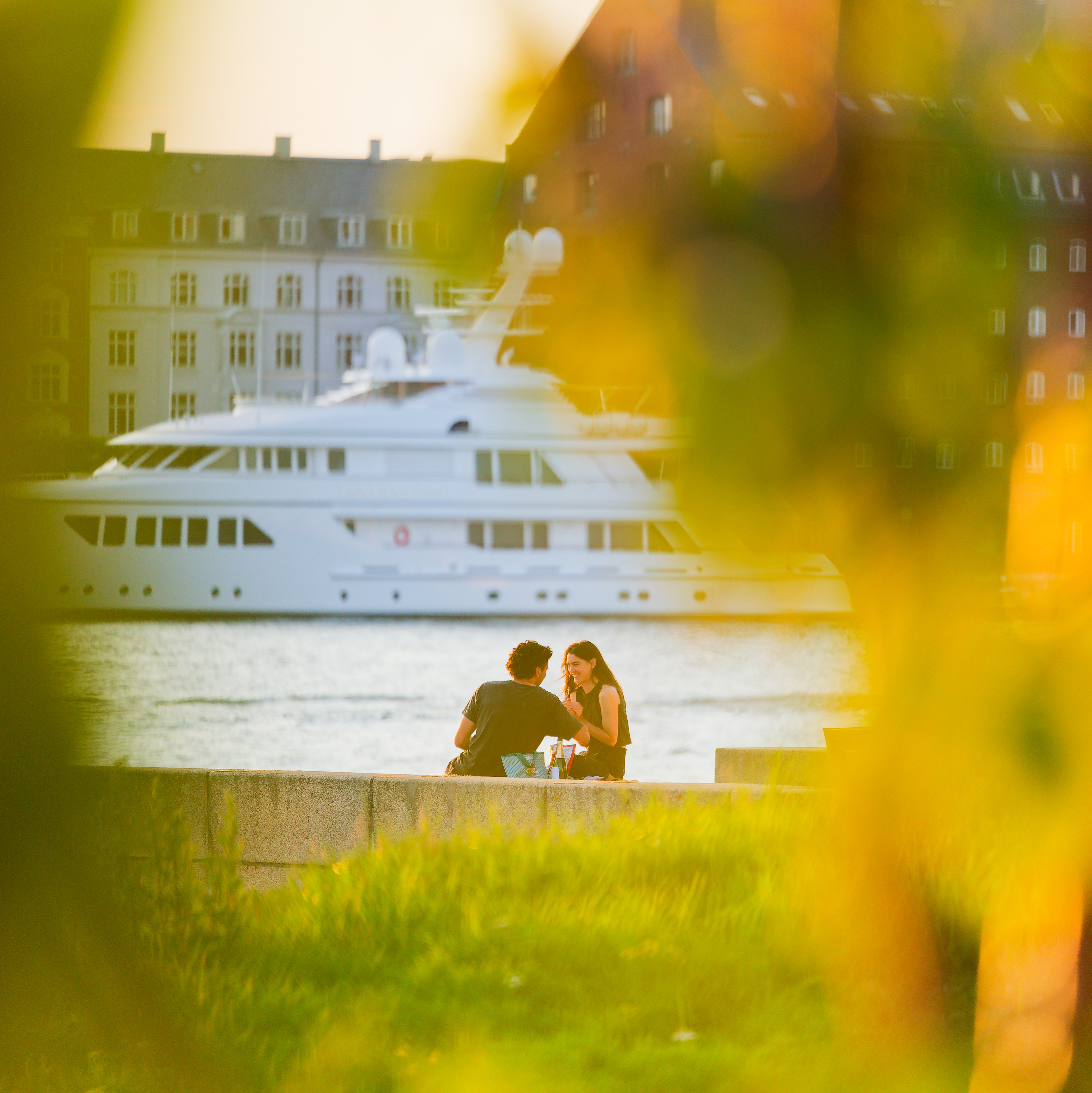 Surprise proposal reaction